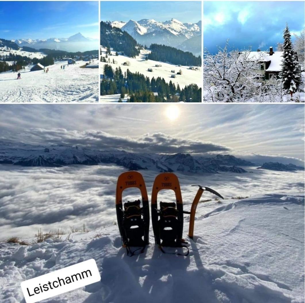 Panoramablick