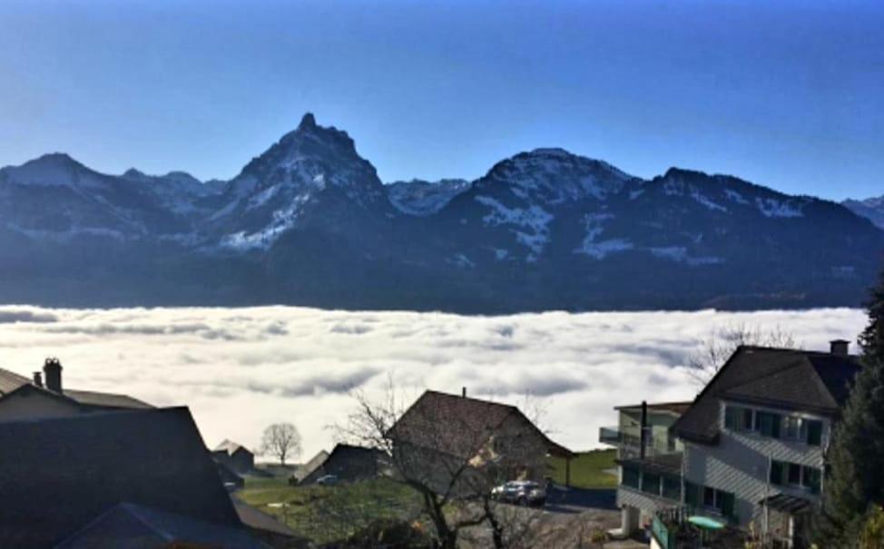Panoramablick