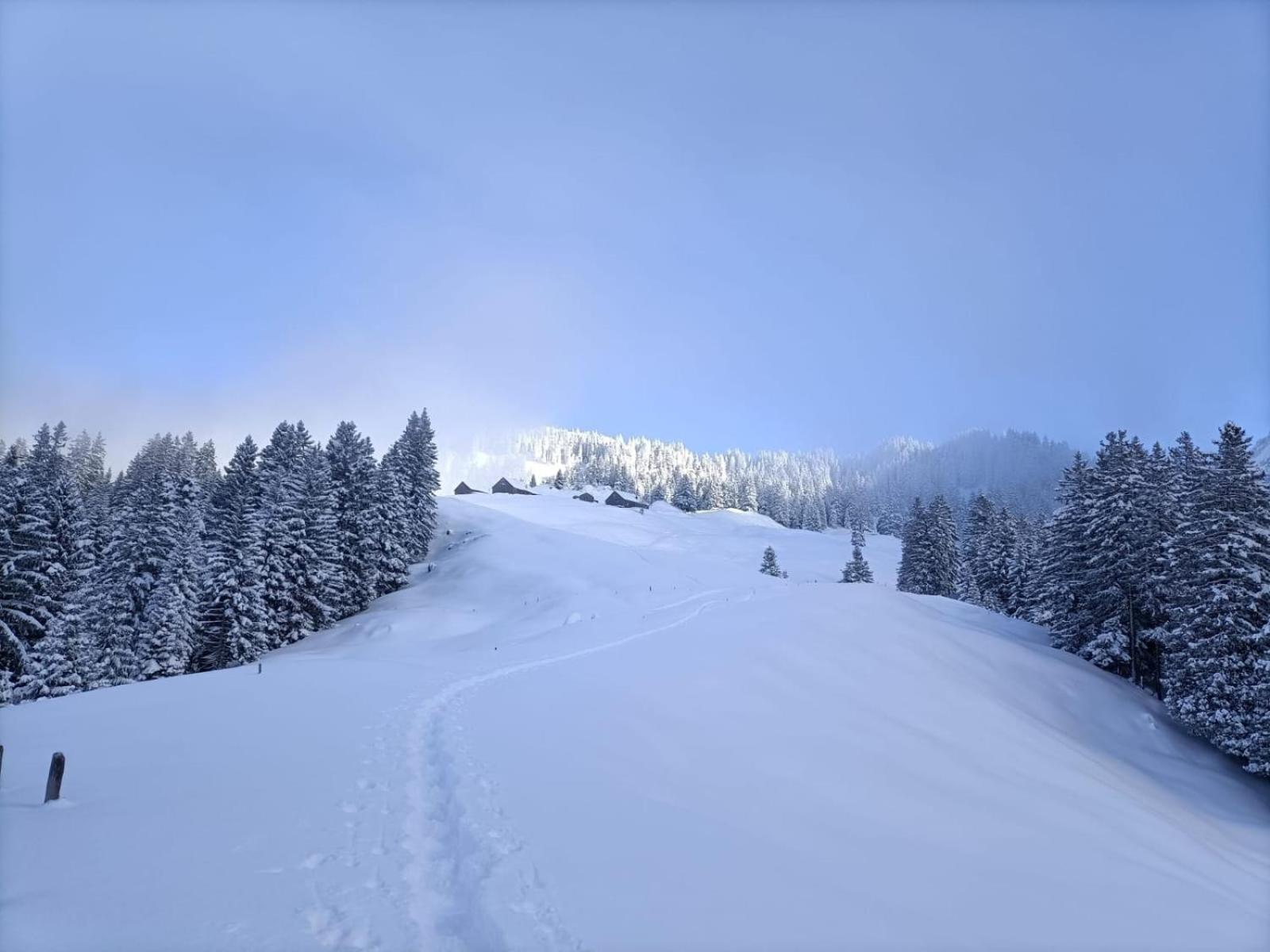 Panoramablick *