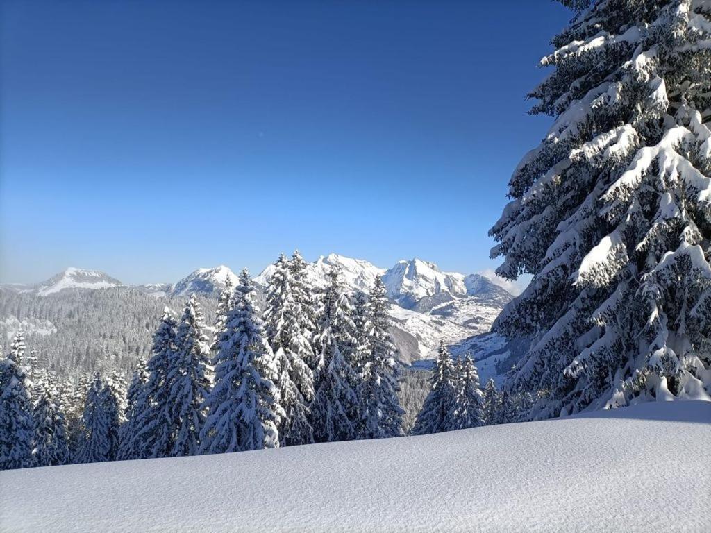 Panoramablick Amden