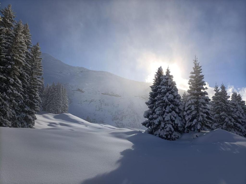 Panoramablick * Amden